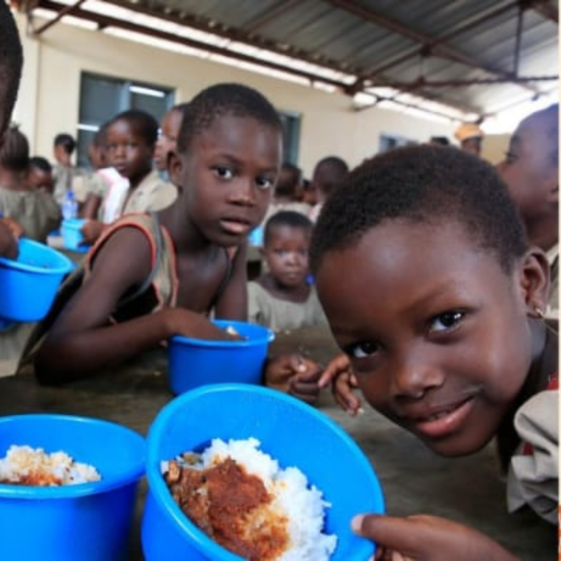 Webinar: Strengthening Food Safety Systems for Safe and Healthy School Food Environments in South Africa